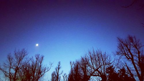 Low angle view of bare trees against blue sky