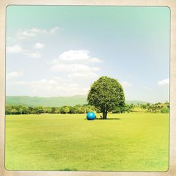 Scenic view of grassy field against cloudy sky