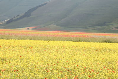 Scenic view of field against cloudy sky