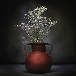 Close-up of potted plant on table