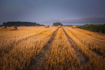 Technological path in the stubble, clouds and sky after sunset