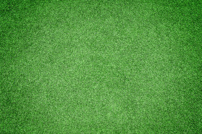 Full frame shot of green grass