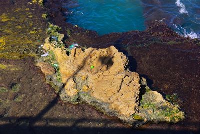 High angle view of rocks on beach