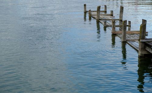 Wooden posts in water