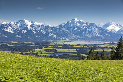 Scenic view of field and mountains against sky