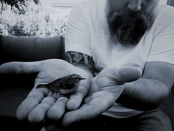 Midsection of man holding sparrow at home