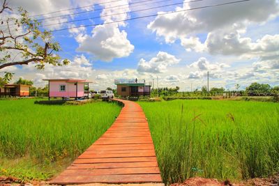 Scenic view of field by houses against sky