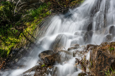 Scenic view of waterfall in forest