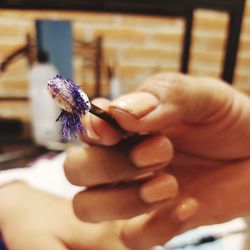 Close-up of hand holding butterfly