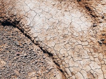 Full frame shot of arid scene