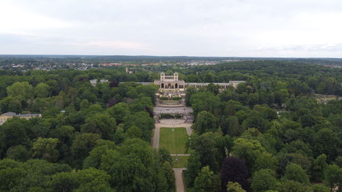 Trees and buildings in city against sky