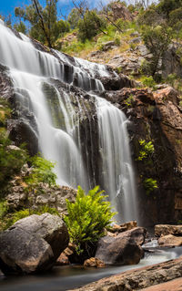 Scenic view of waterfall in forest