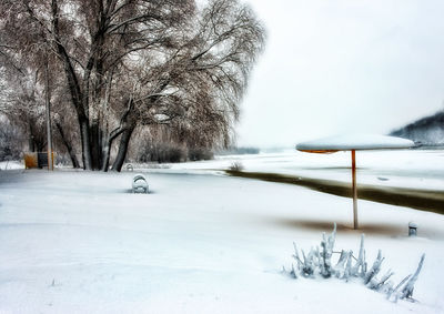 Bare trees on snow covered field