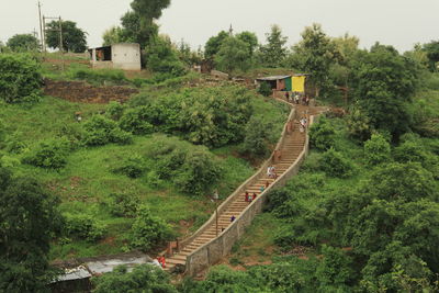 High angle view of railroad track amidst trees