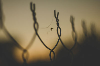 Close-up of barbed wire fence against sky