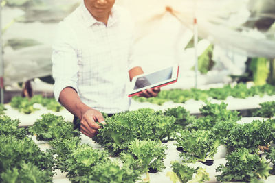 Midsection of man holding umbrella by plants