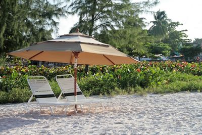 Lounge chairs by swimming pool at beach