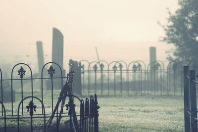 Cemetery fencing in the morning light