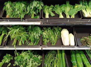 High angle view of vegetables for sale in market