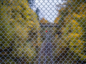 High angle view of chainlink fence on cobblestone