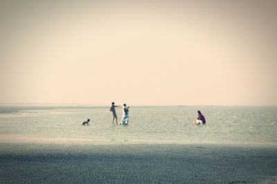 People on beach against sky