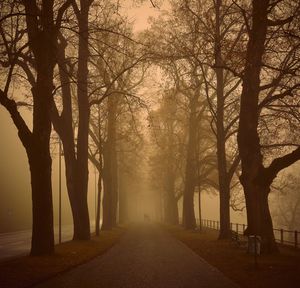 Road amidst trees in park during autumn