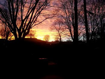 Silhouette trees at sunset