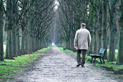 Rear view of man walking amidst trees