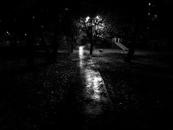 Wet street in park at night