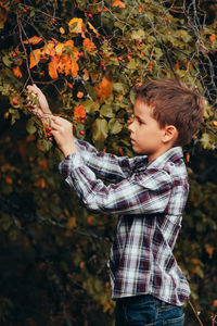 Boy in checkered shirt gathers rose hips in autumn forest