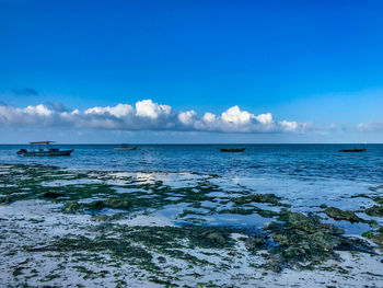 Beach life in zanzibar