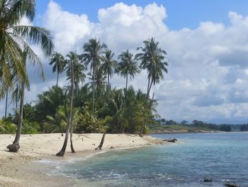 Palm trees on beach against cloudy sky