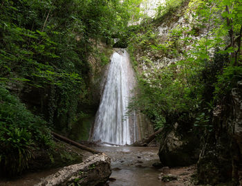 Scenic view of waterfall amidst trees in forest