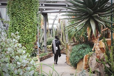 Man standing in greenhouse