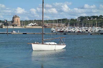 Sailboats moored in harbor