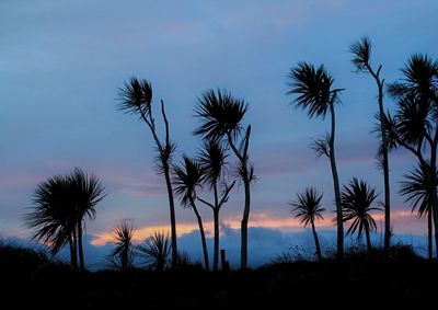 Silhouette palm trees against sky at sunset