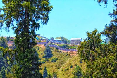 Scenic view of landscape against clear blue sky