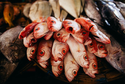 Fish for sale at market