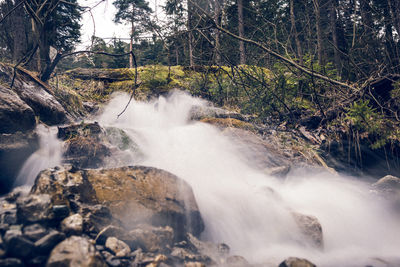 Scenic view of waterfall in forest