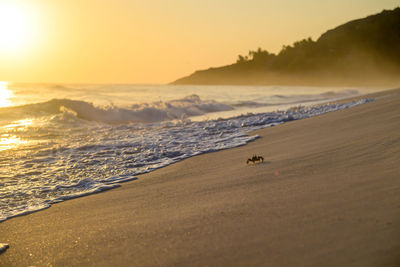 Scenic view of beach against sky during sunset