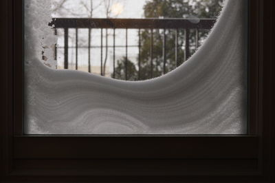 View of trees through window