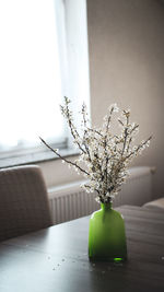 Close-up of small plant in vase on table