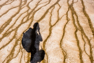 Full frame shot of sand dune