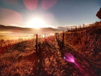 Scenic view of field against sky during sunset