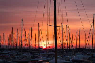 Sailboats in marina at sunset