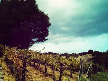 Scenic view of field against cloudy sky