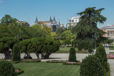 Trees in park