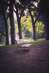 Empty bench in park