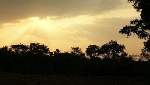 Silhouette trees against sky during sunset