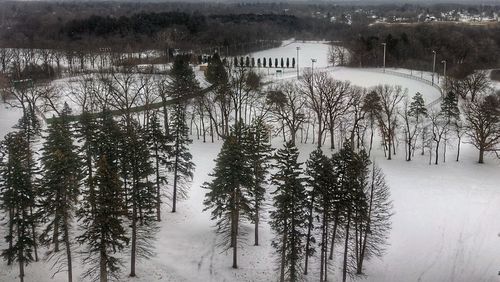 High angle view of trees by lake during winter